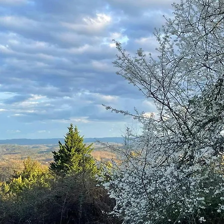 La Bergerie La Campagne En * Sarlat-la-Canéda